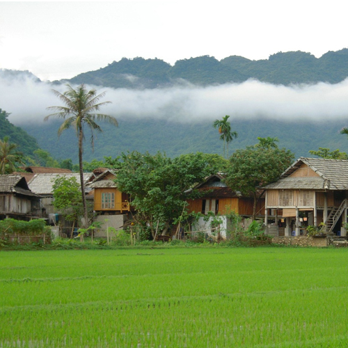 MAI CHAU MOC CHAU AVT 1