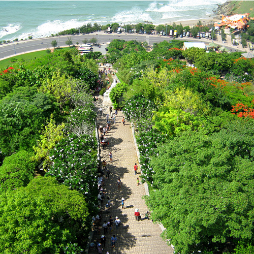 VUNG TAU BIEN GOI AVT 1